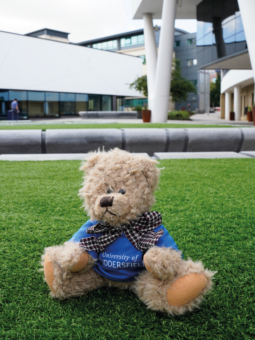 Windsor Bear